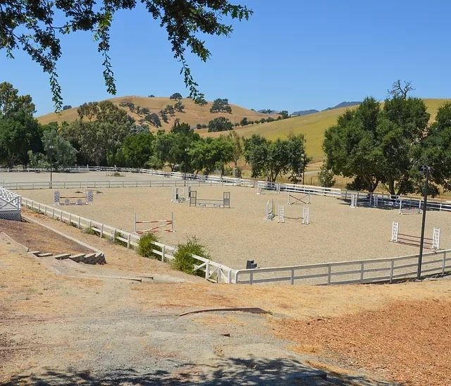 Empty sand arena with white fencing and trees under a clear sky, viewed from the side