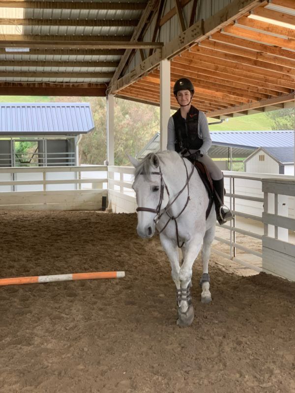 Rider on a white horse in an indoor arena under a wooden roof