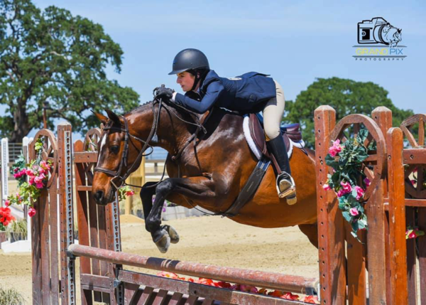 Horse and rider clearing a jump in an outdoor show jumping arena