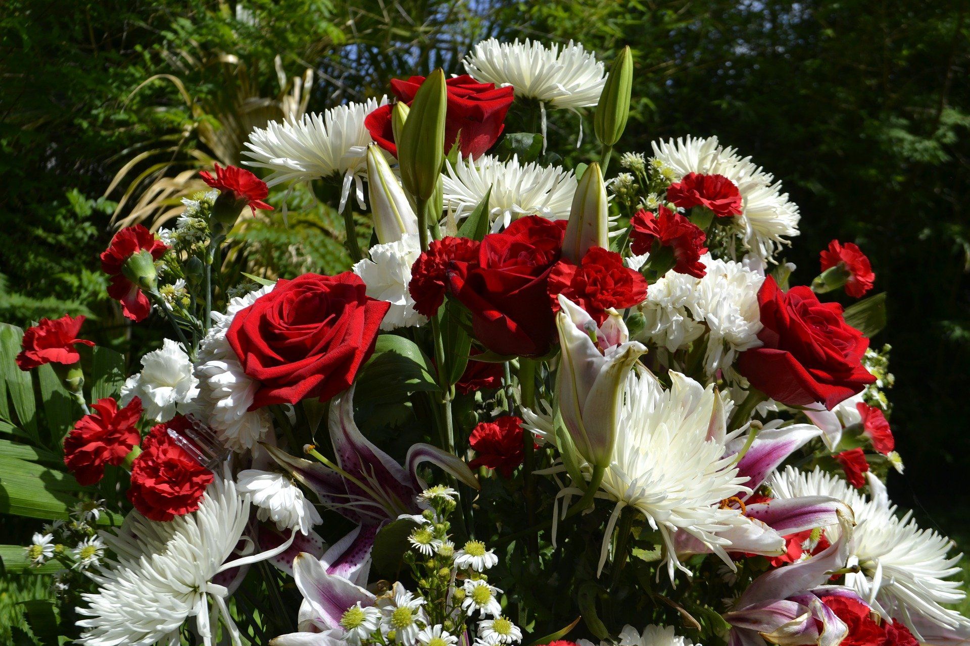 Un mazzo di fiori rossi e bianchi in un giardino