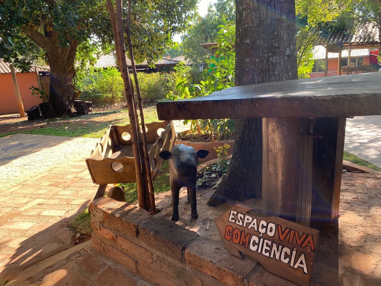 Espaço Viva com Ciência | Eventos e Alimentos Veganos