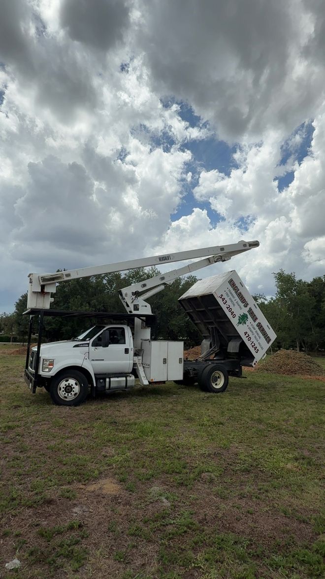 Red tree service truck with ladder parked on street