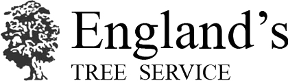 England's Tree Service Inc England's Tree Service Inc