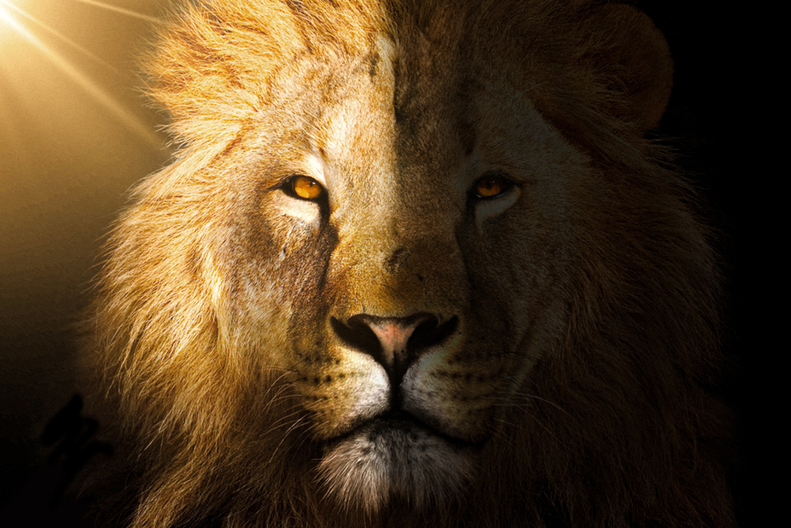 Why Choose Kingdom Krafters?