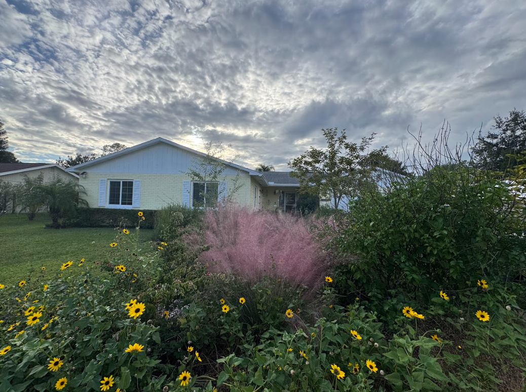 Florida native plants to plant this fall in a beautiful residential garden
