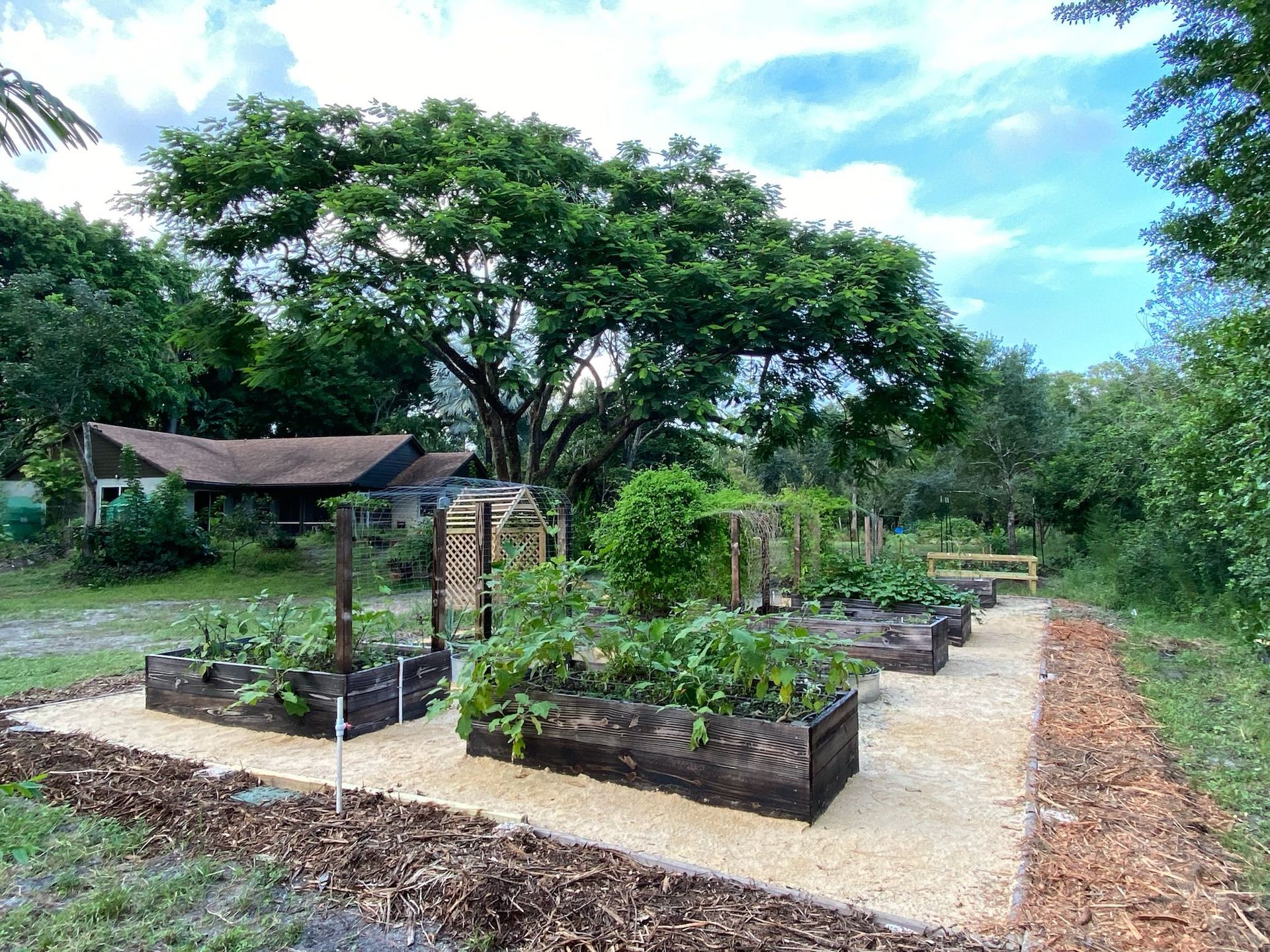 Custom and Specialty Gardens