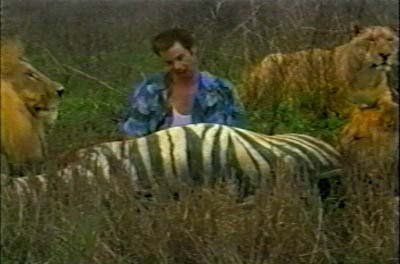 A man is standing next to a zebra and lions in a field.