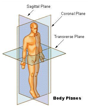A diagram of a man 's body showing the sagittal , coronal , transverse and body planes.