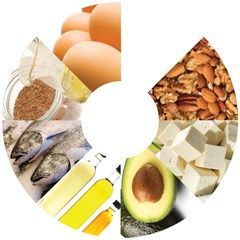 A collage of different types of fats in a circle.