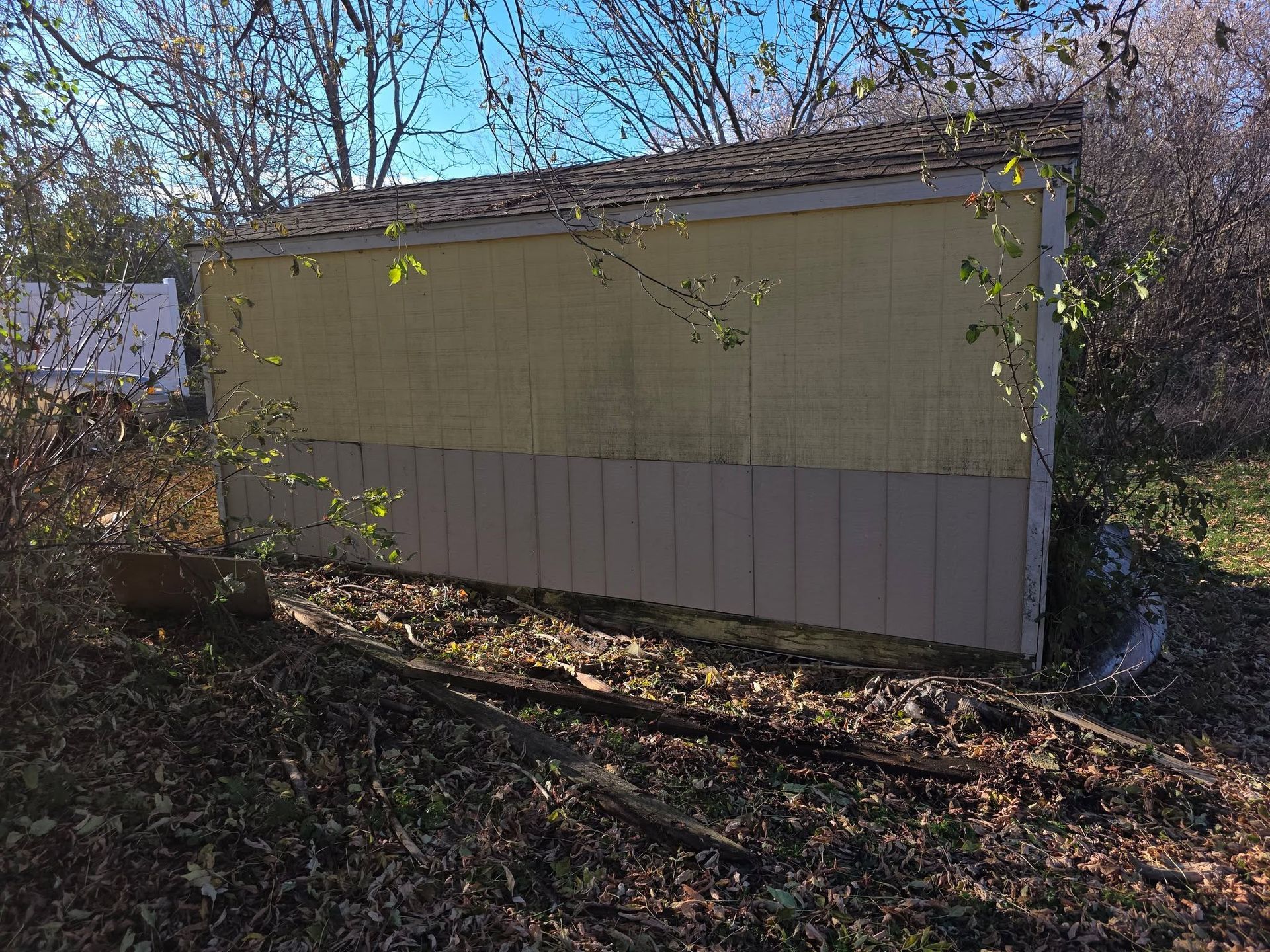 Small beige shed with a brown lower wall, seen among trees and brush outdoors.