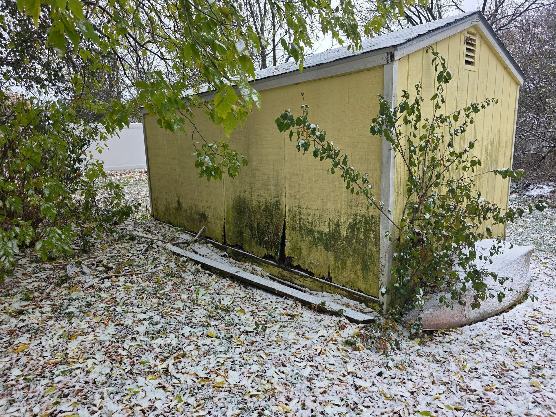 Small yellow shed in a snowy yard, surrounded by trees and shrubs