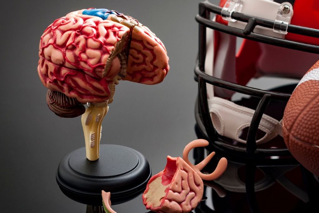 A model of a brain next to a football helmet and a broken brain.