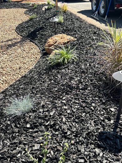 Mulched garden bed with small plants and a rock beside a driveway and parked vehicle