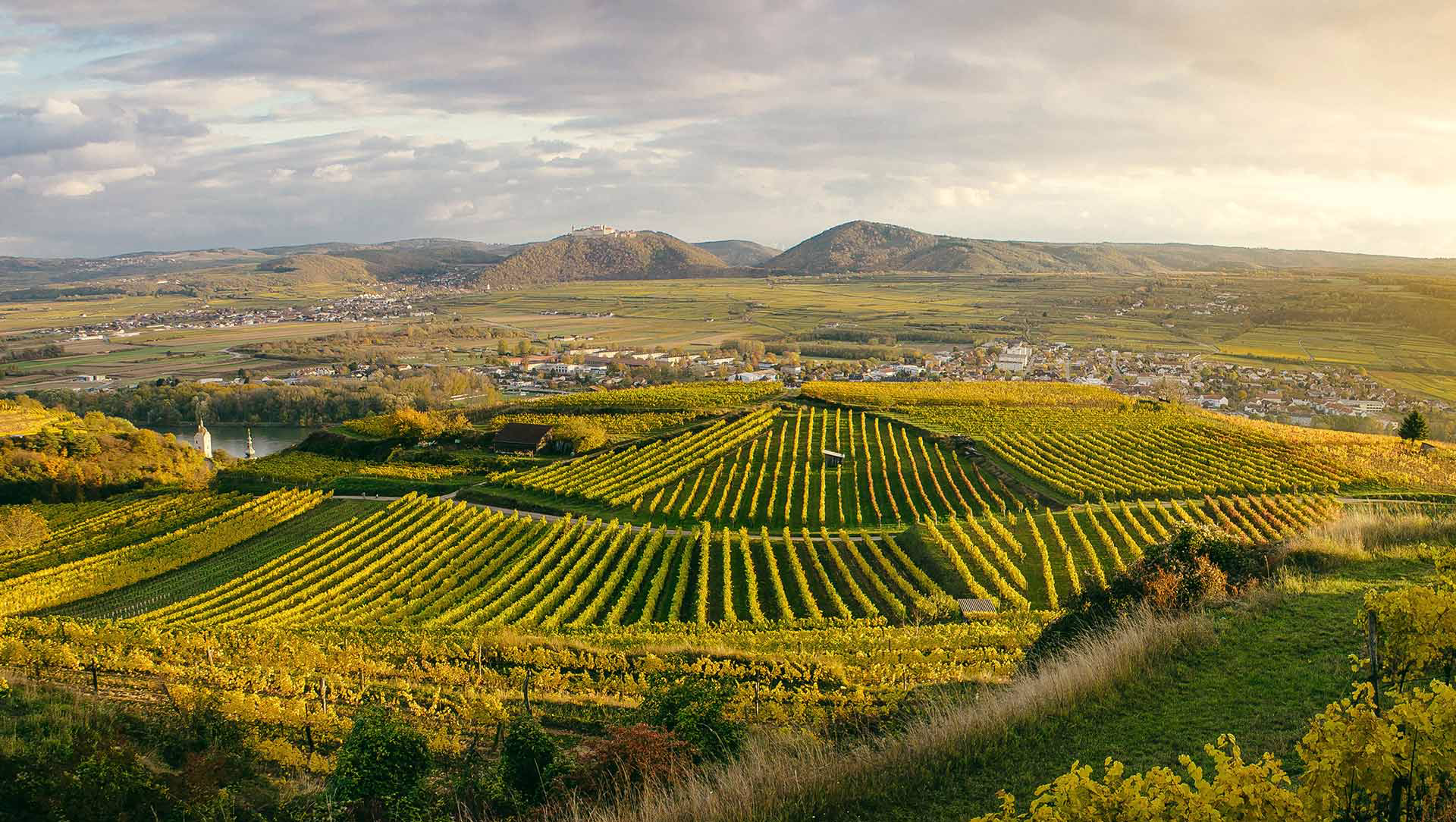 Wein Niederösterreich