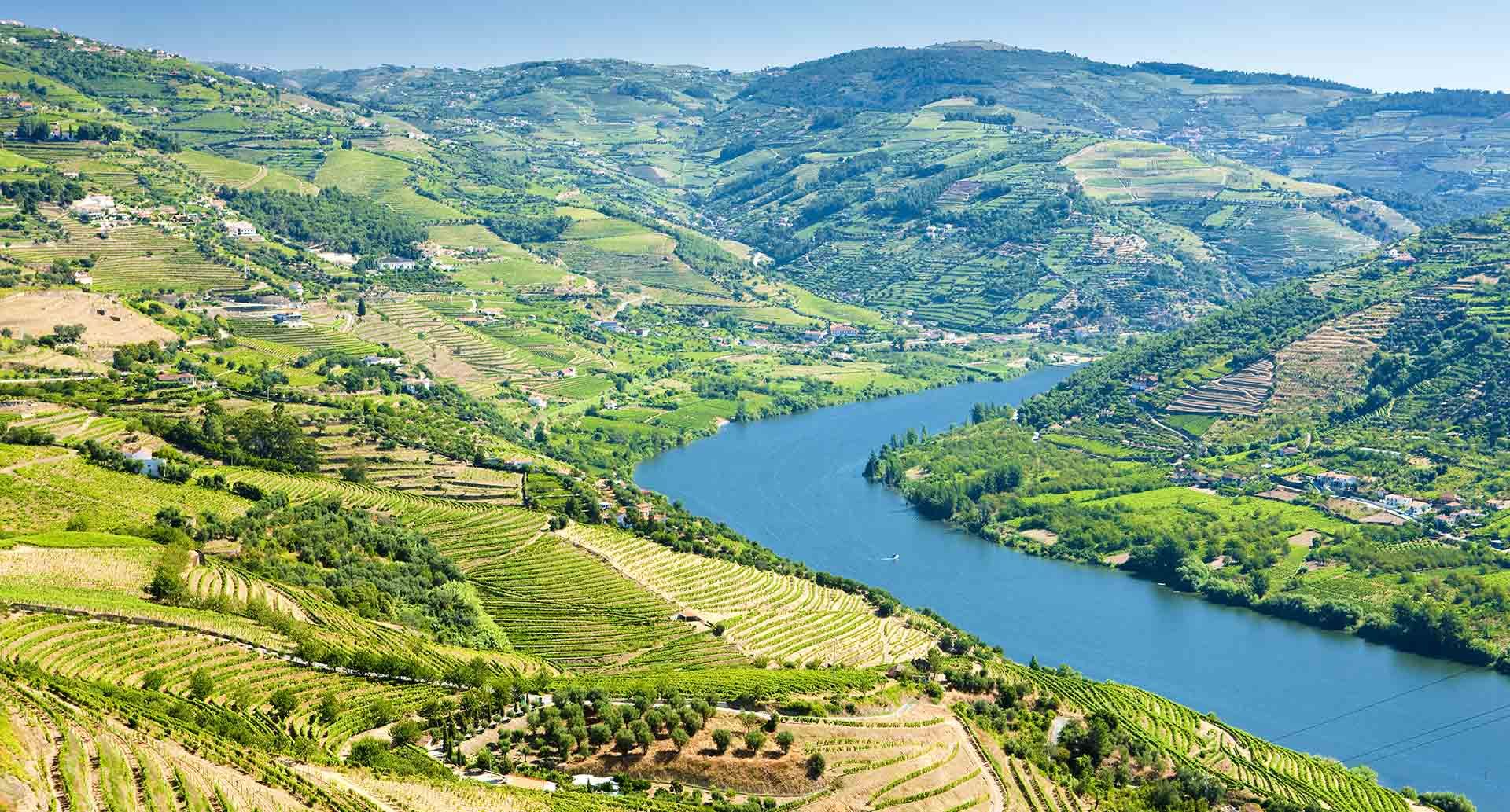 Douro Gebiet, Portwein