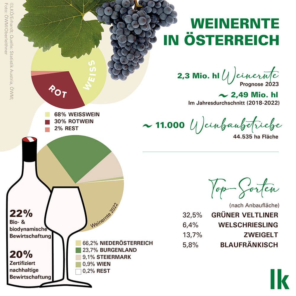 Key Facts zum österreichischen Wein © Landwirtschaftskammer Österreich / Erhardt