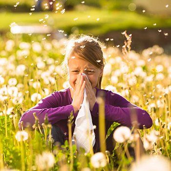 Spring Allergies — Bluefield, VA — Allergy & Asthma Center of Bluefield Spring Allergies — Bluefield, VA — Allergy & Asthma Center of Bluefield