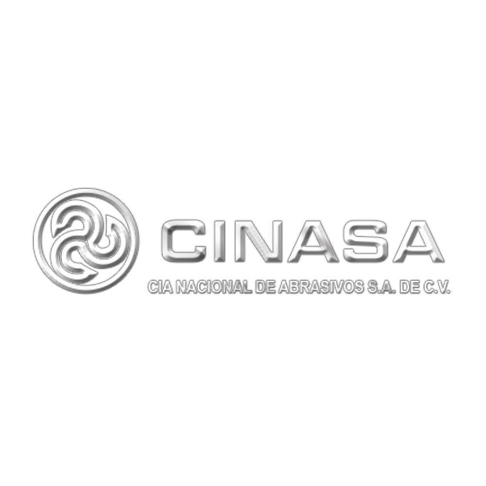 Un logotipo plateado para una empresa llamada Cinasa sobre un fondo blanco.