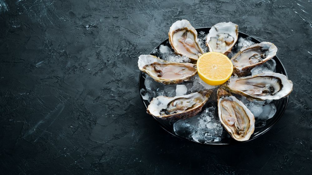 Fresh Oysters — Pub in Stuart Park, NT 