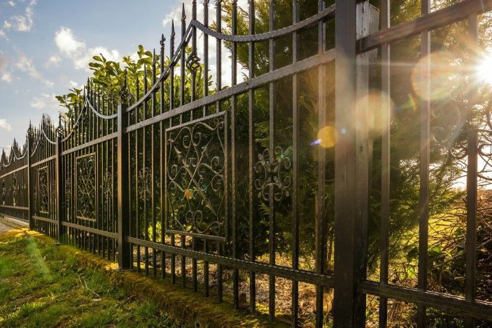 Black wrought-iron fence along a sunlit grassy path with trees behind it