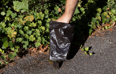 Eine Hand hält eine schwarze Plastiktüte über einen Bürgersteig neben efeubewachsenem Boden.