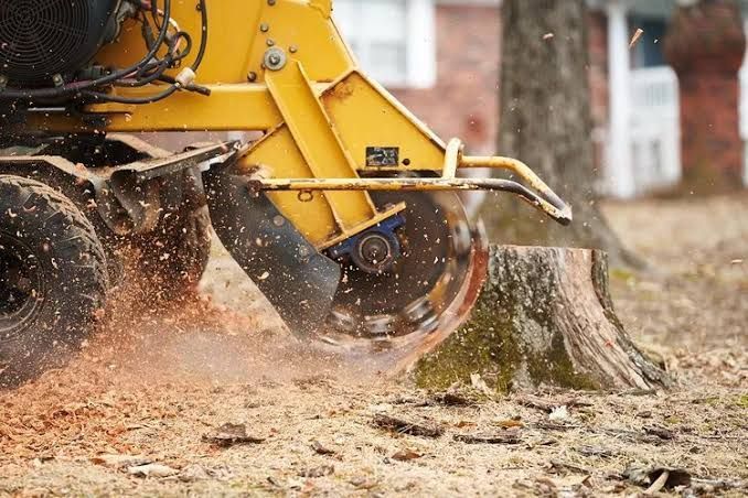 stump grinder in saint petersburg florida