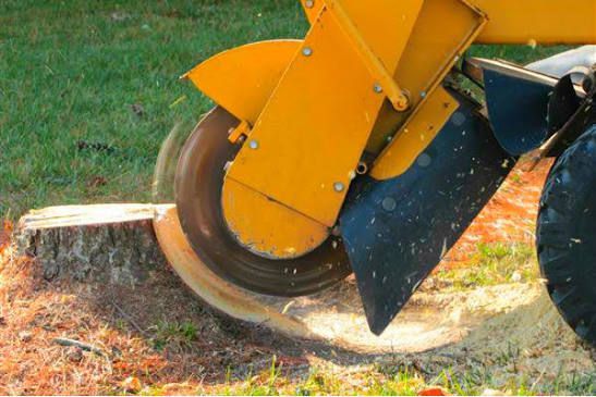 stump grinder in saint petersburg florida