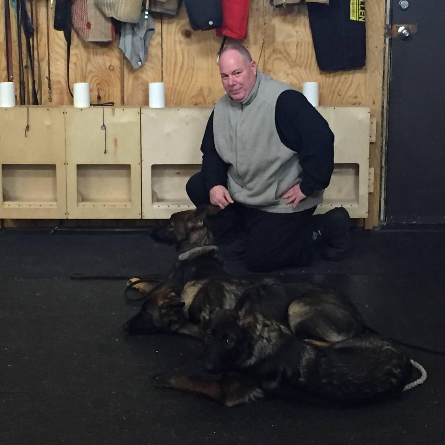 Trainer kneeling with two German shepherds in an indoor training room, one dog lying on the floor.