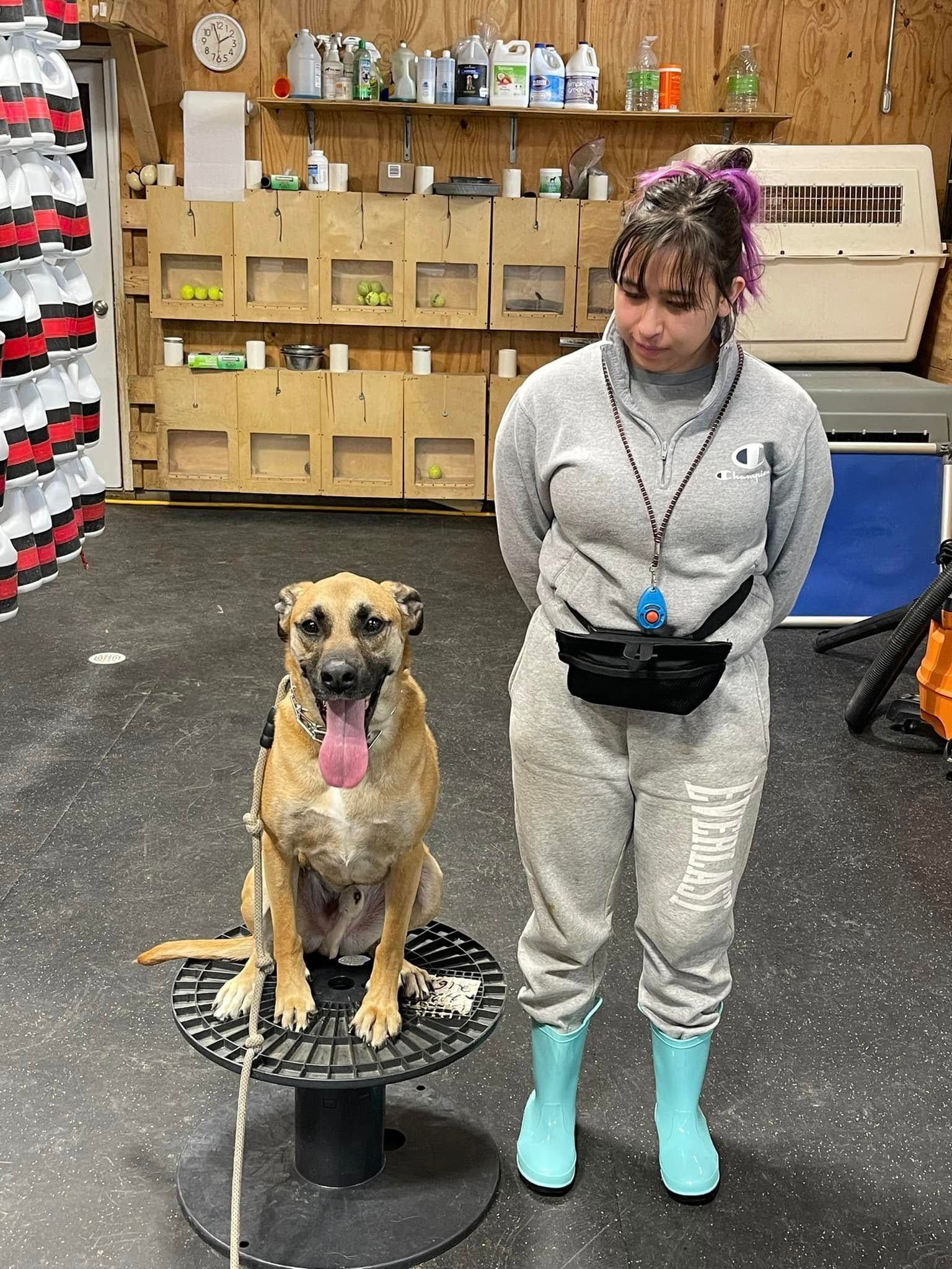 Dog sitting on a grooming table beside a woman in a pet supply store, with shelves in the background.