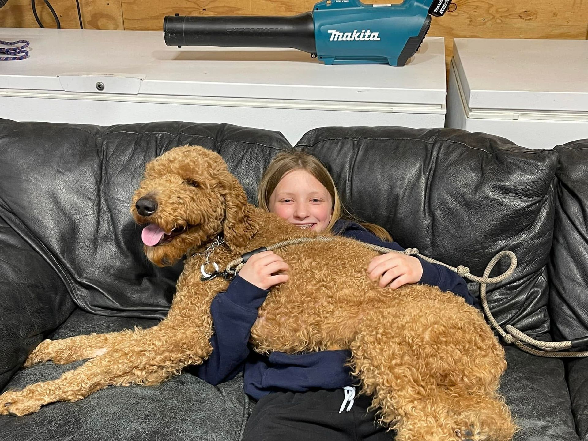 Smiling child on a black couch hugging a large curly tan dog