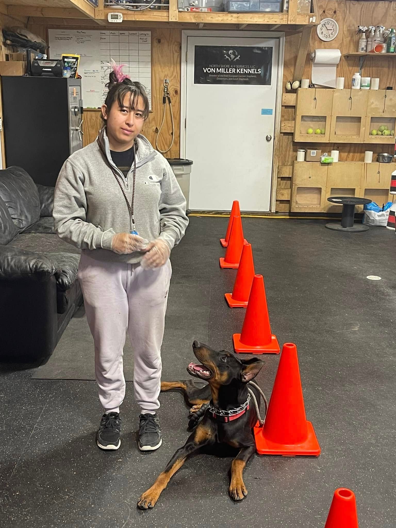 Person stands indoors beside a black-and-tan dog sitting near orange cones in a training area.