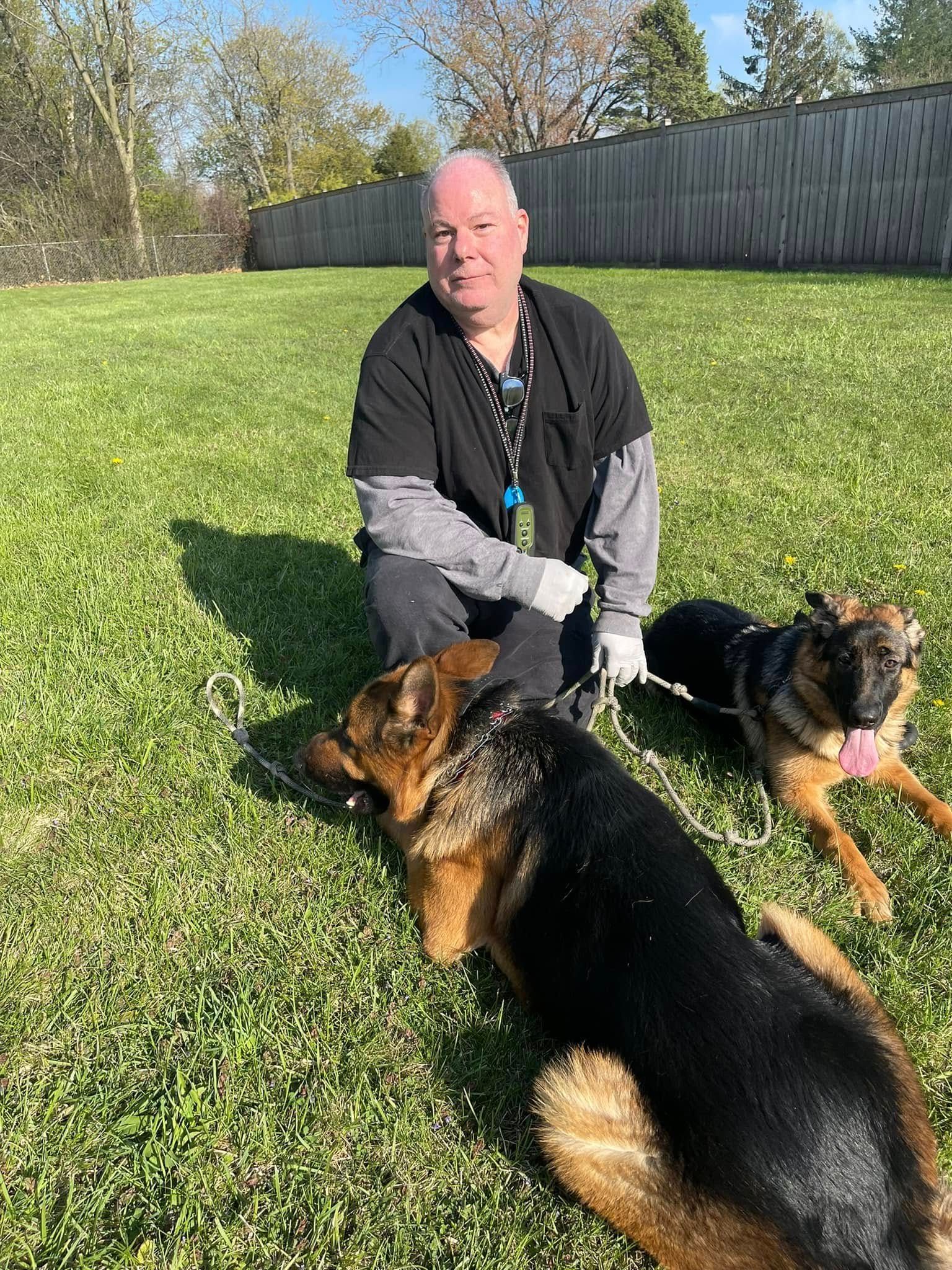 Man kneeling on grass with two German shepherd dogs in a sunny yard