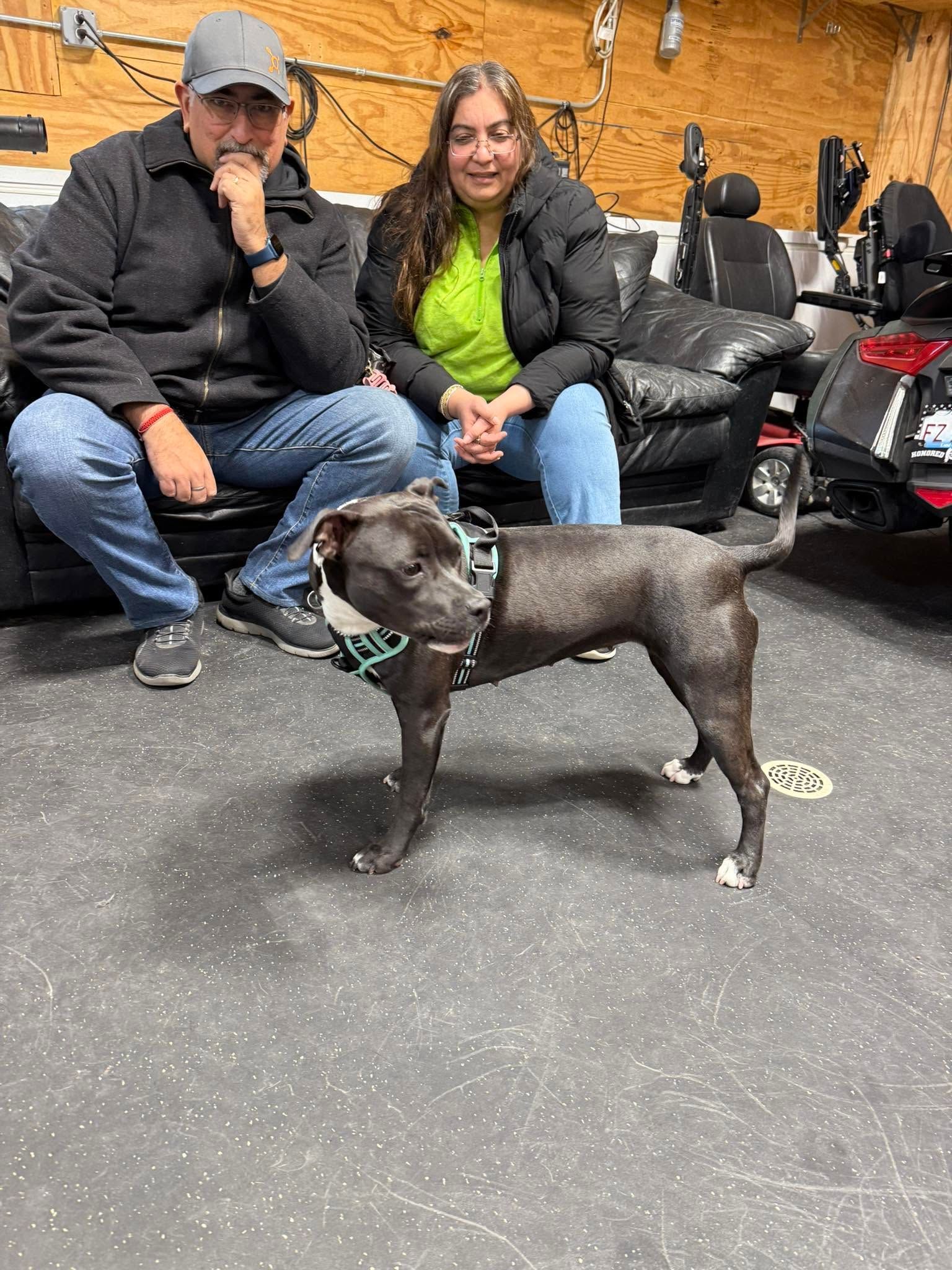 Two people on a couch with a black dog standing in front of them in an indoor space.