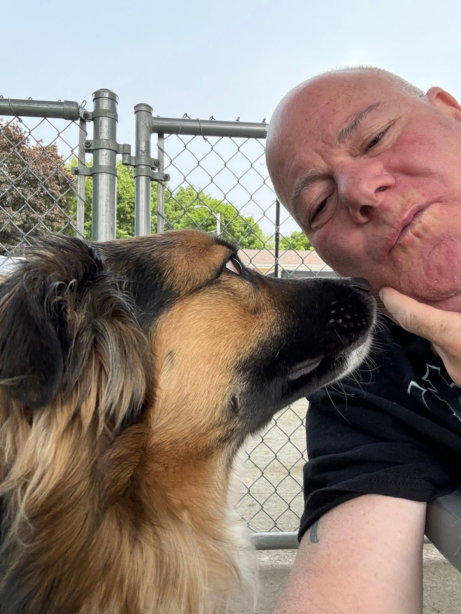 Close-up of a bald person and a fluffy dog nuzzling beside a chain-link fence outdoors