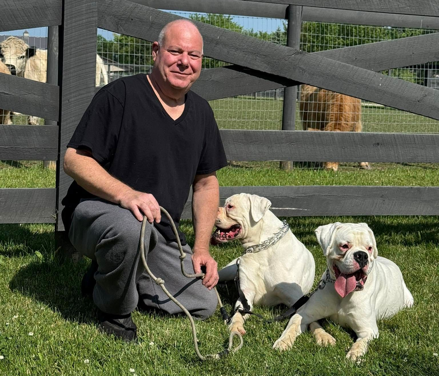 Man kneeling on grass with two small dogs by a gray fence on a sunny day