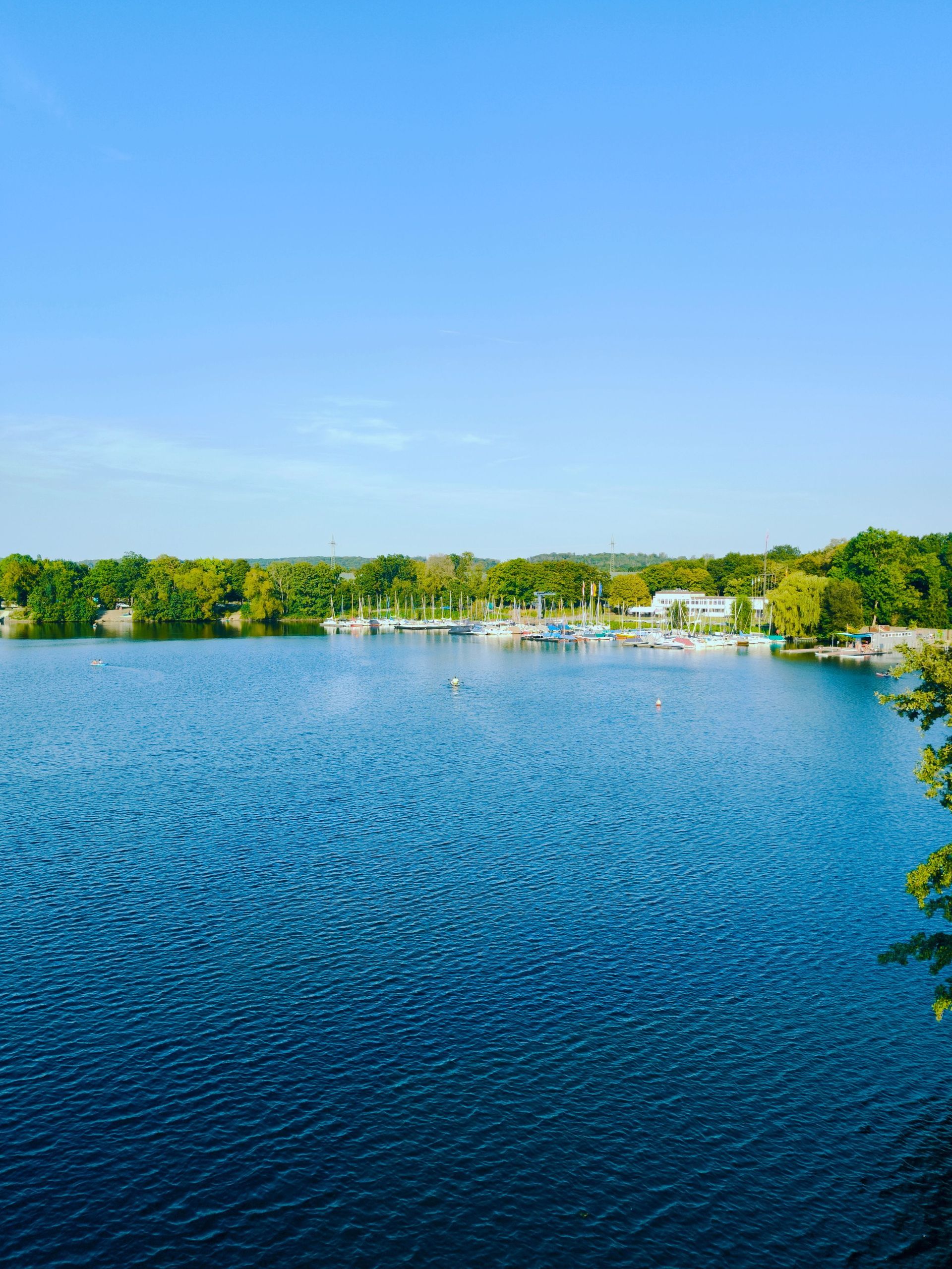 Blue lake with rippling water, a tree-lined shore, and a small marina under a clear sky.