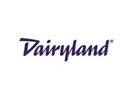 Dairyland logo in purple script on a white background