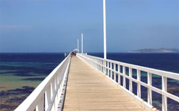 A pier leading to the ocean with a white railing