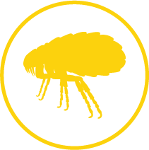 va beach mosquito control