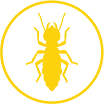 termite control virginia beach