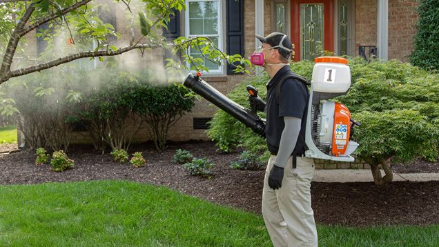Mosquito Control 