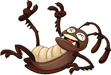 Dead Bug