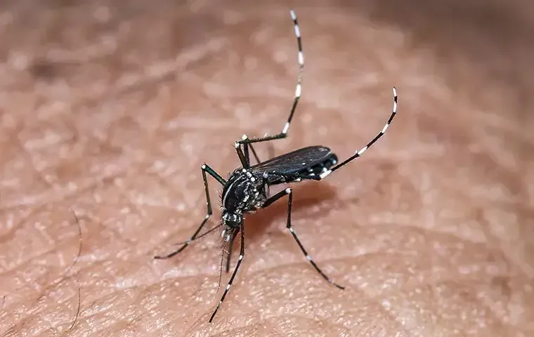 Mosquito Reduction Virginia Beach
