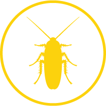 termite treatment virginia beach