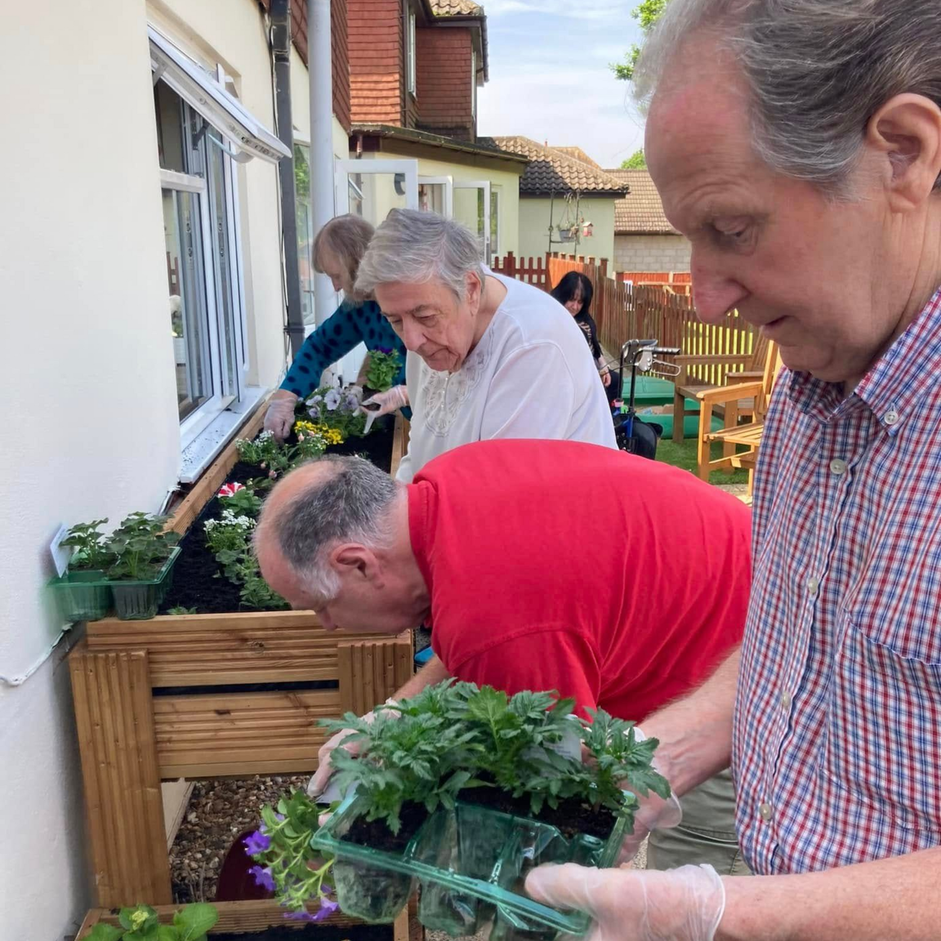 Sunnycroft Care Home | Let's Plant