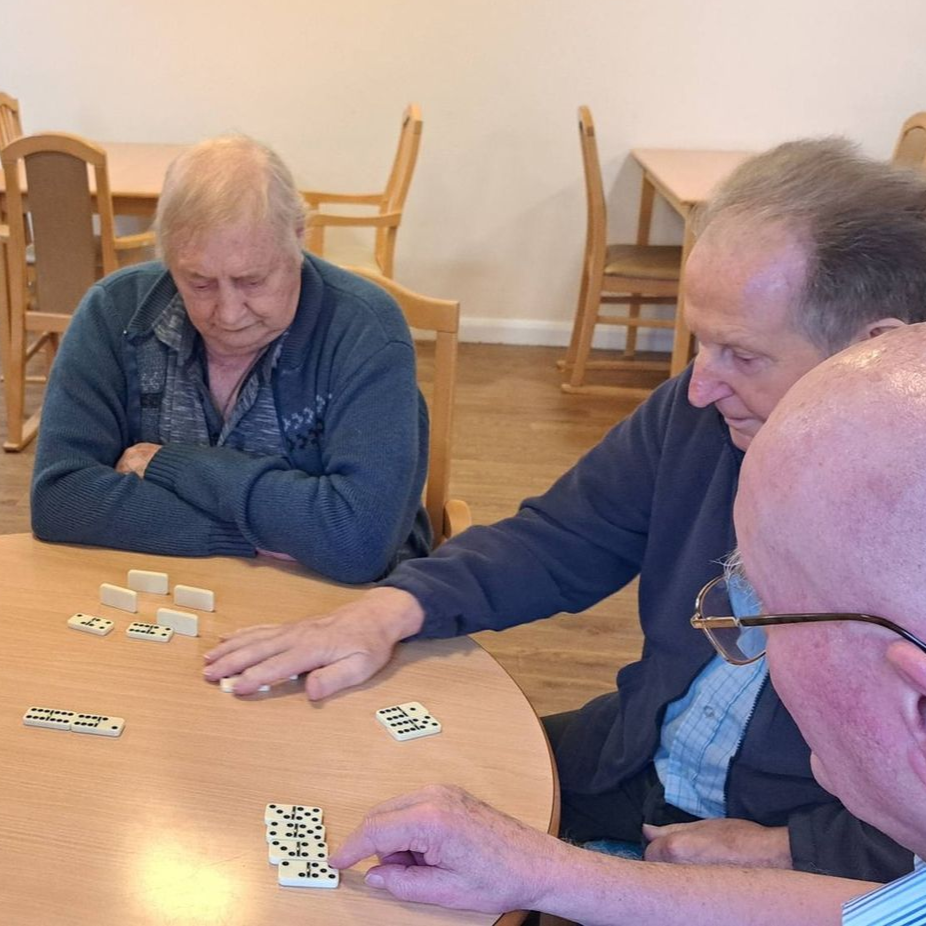 Sunnycroft Care Home | Dominoes