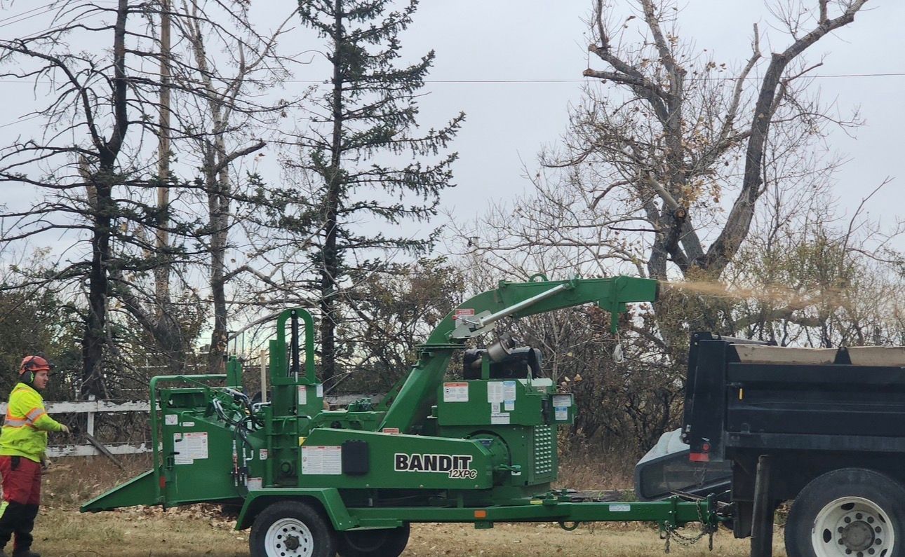 arborist company Airdrie