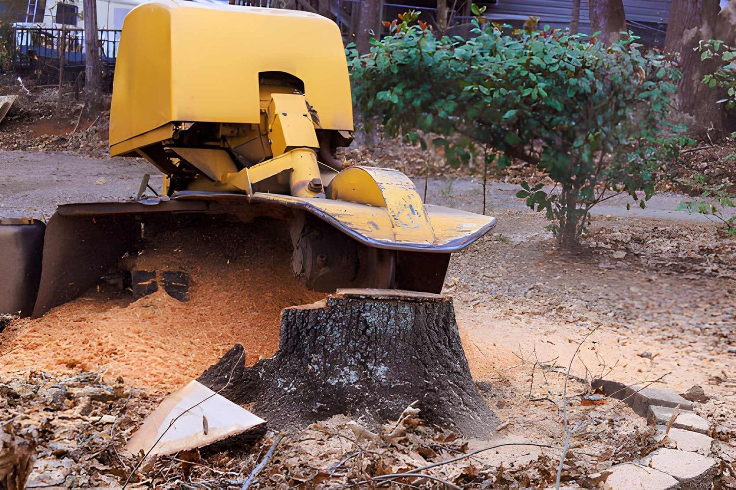 Stump Grinding in Calgary