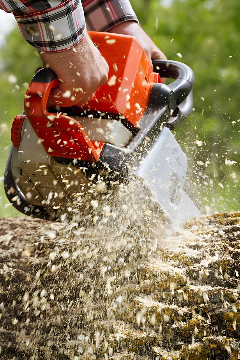Tree Removal in Airdrie, AB