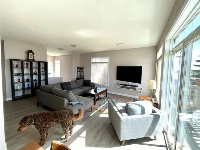 A dog is standing in a living room next to a couch.